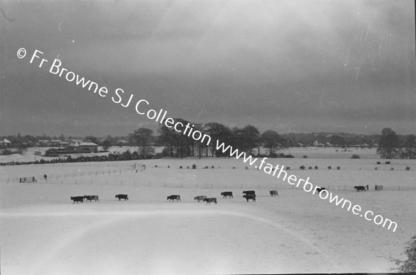 RATHFARNHAM CASTLE GROUNDS IN THE SNOW